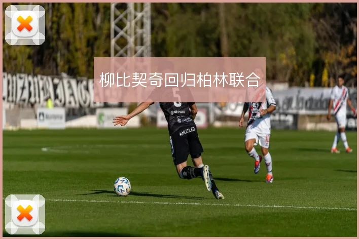 柳比契奇回归柏林联合