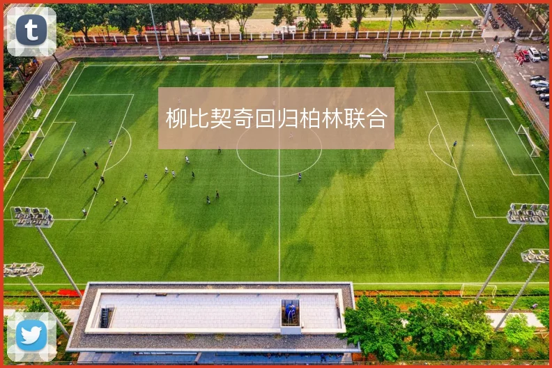 柳比契奇回归柏林联合